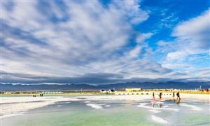 中研普华行业研究网凯时尊龙案例分析_(图7) 中研普华行业研究网凯时尊龙案例分析_(图7)